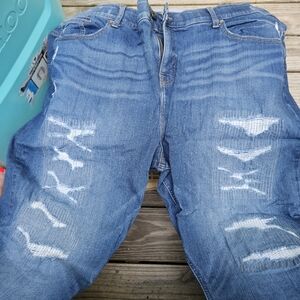 Torrid Bombshell Skinny Jeans